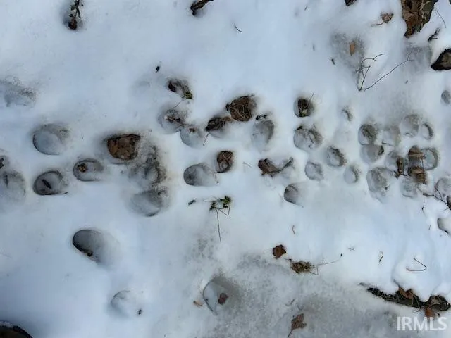 $299,900 | Rea Cemetery Road Road, Coal City, IN 47427