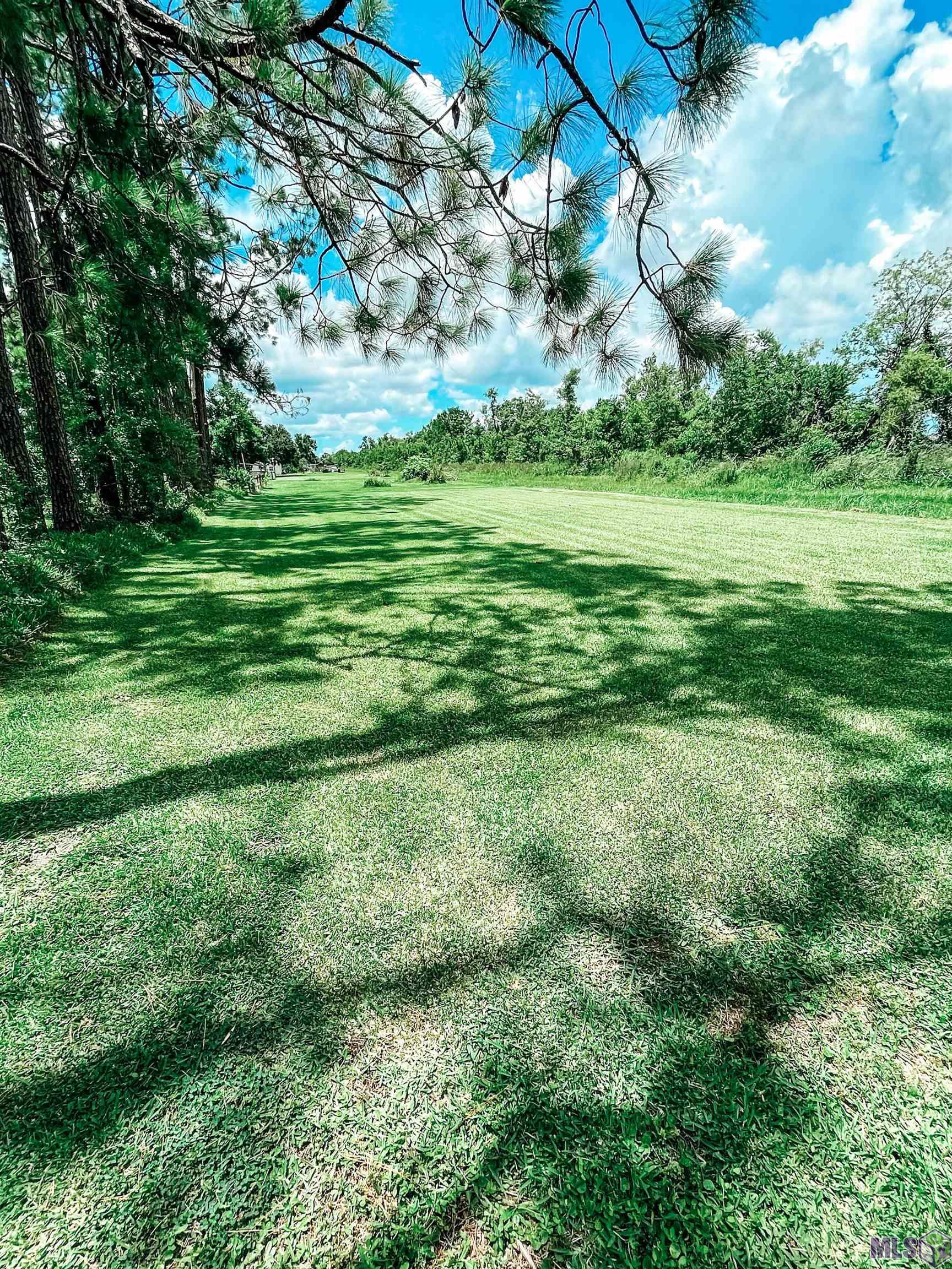 252 Danos Street Raceland, LA 70394 - Photo 14 of 16