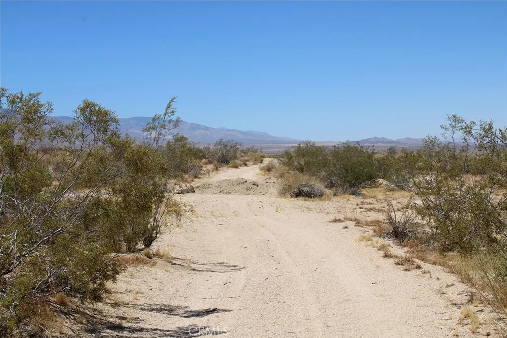5 Joshua Tree Road Johnson Valley, CA 92285 - Photo 4 of 21 Gallery Image 4