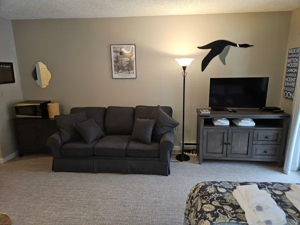 $218,000 | 36 Lodge Road, Unit D115, Lincoln, NH 03251