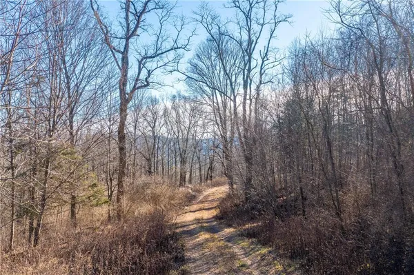 $7,900,000 | 1297 Highway 343, Dover Plains, NY 12522