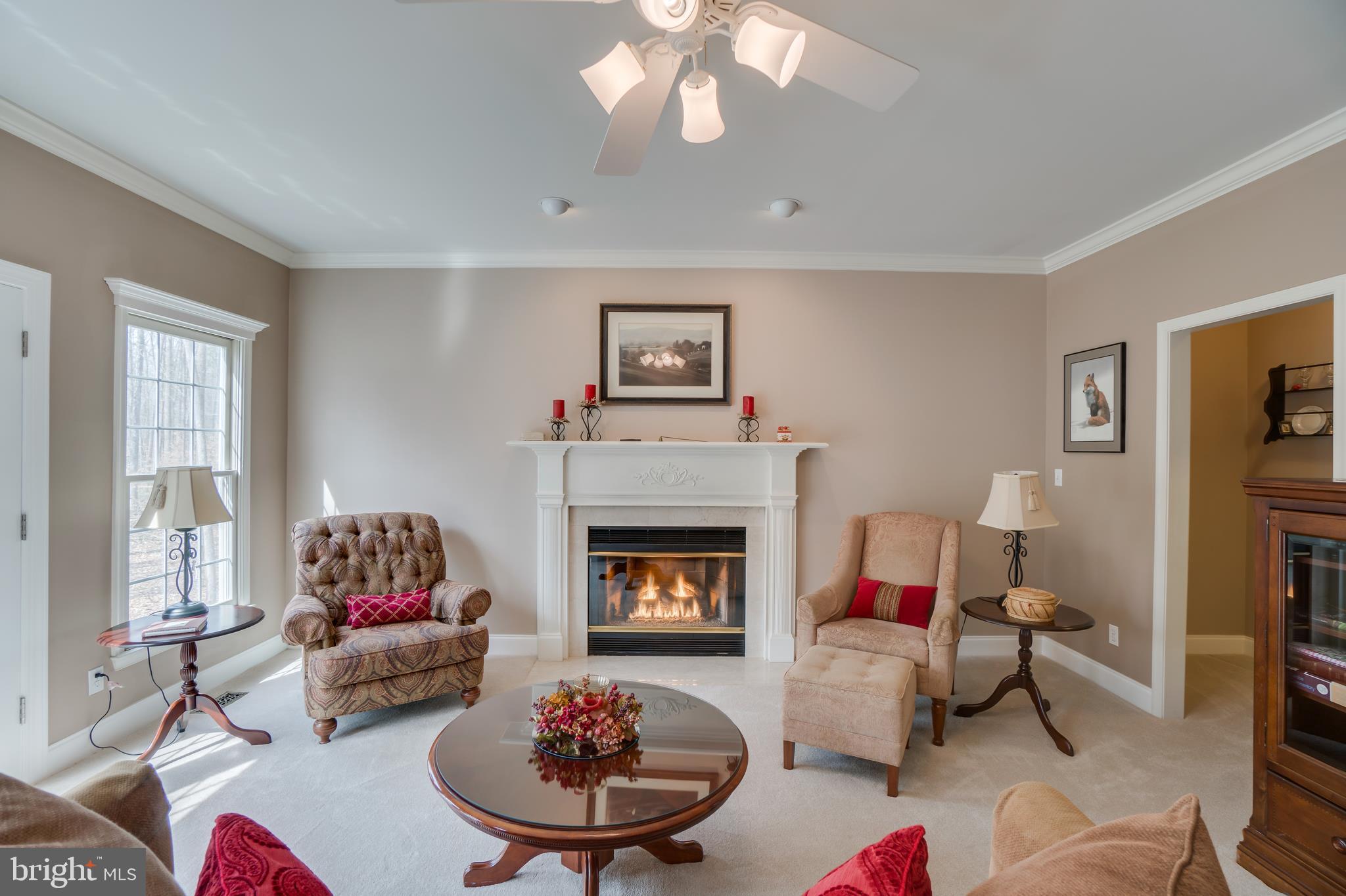 5 Ruffian Drive Stafford, VA 22556 - Photo 20 of 57 Living room with fireplace and wet bar area!
