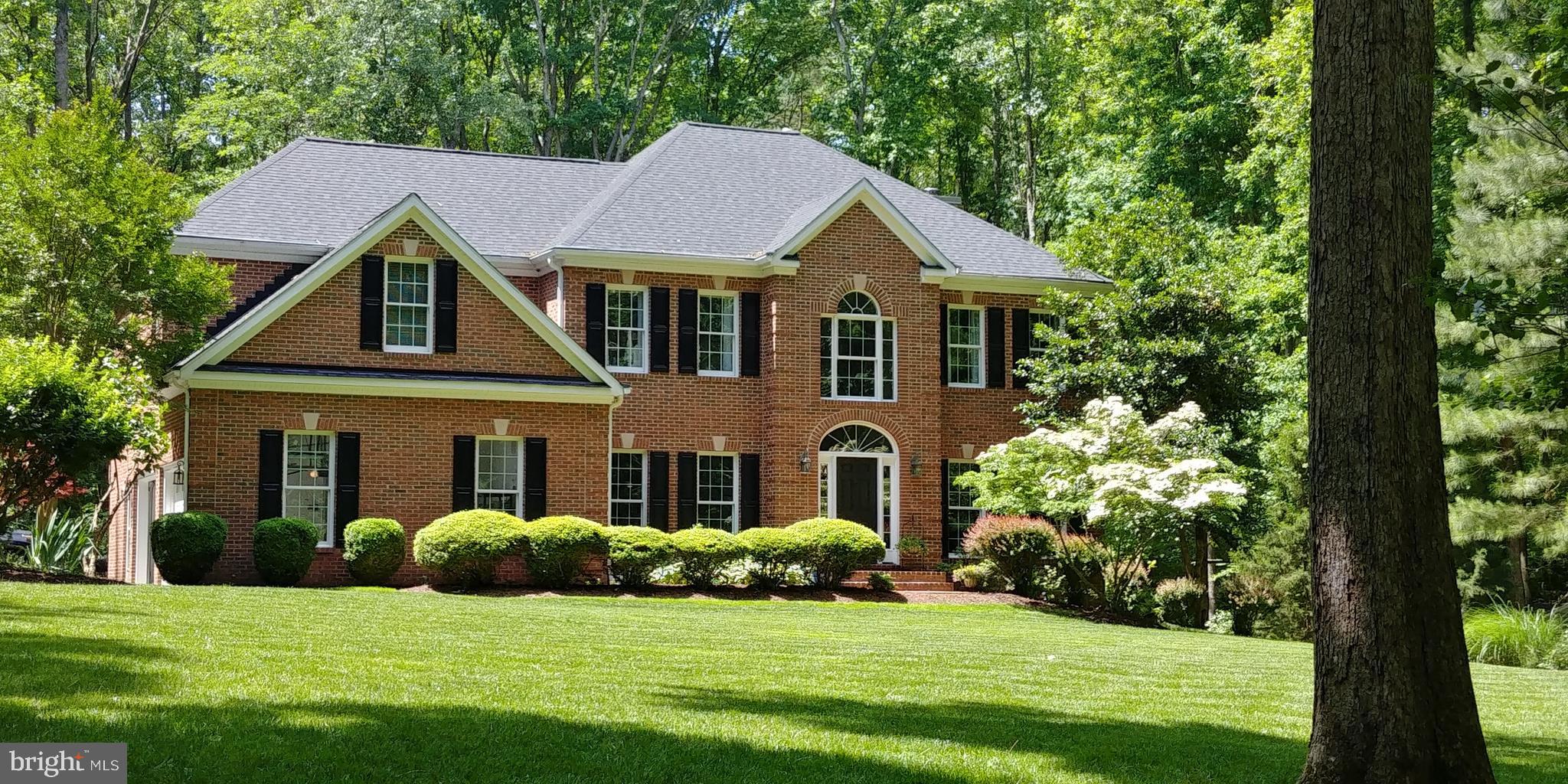 5 Ruffian Drive Stafford, VA 22556 - Photo 3 of 57 Spacious front Yard with extensive landscaping.