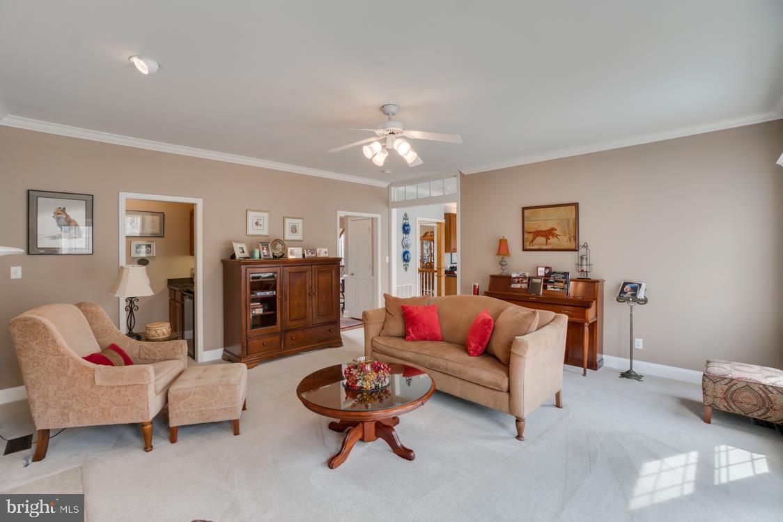 5 Ruffian Drive Stafford, VA 22556 - Photo 21 of 57 Living Room with Custom Trim and Moldings.