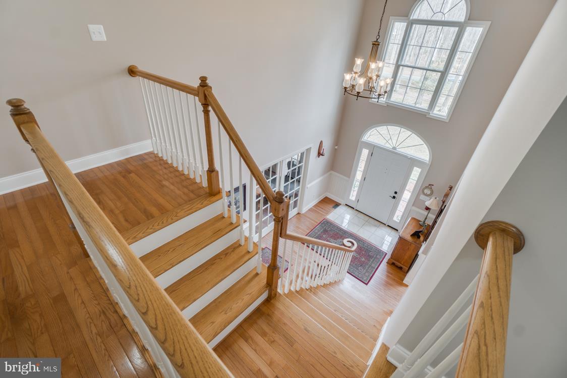 5 Ruffian Drive Stafford, VA 22556 - Photo 24 of 57 Grand, Open Foyer with wood stairs.