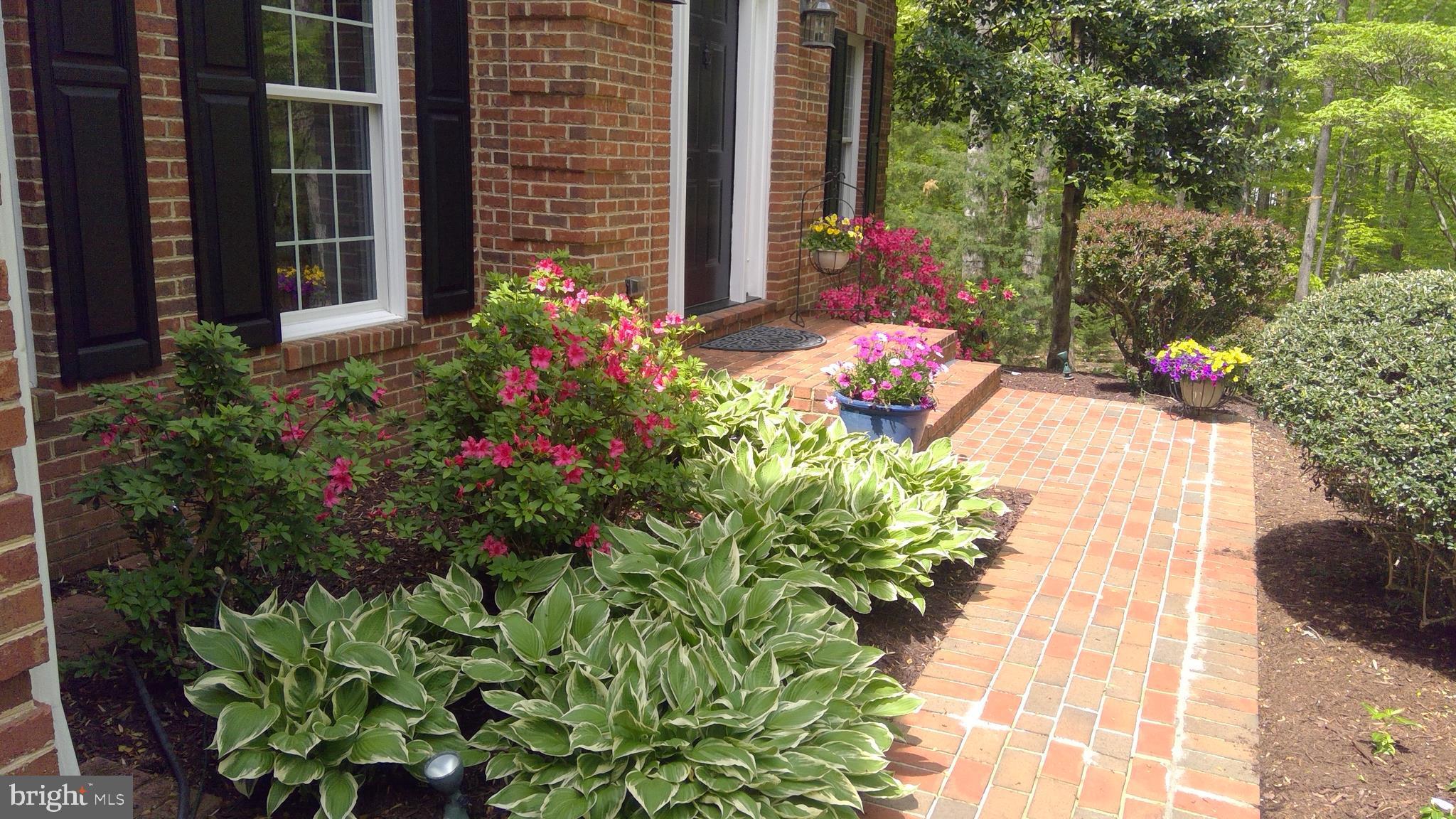 5 Ruffian Drive Stafford, VA 22556 - Photo 5 of 57 Beautiful Front Walk!