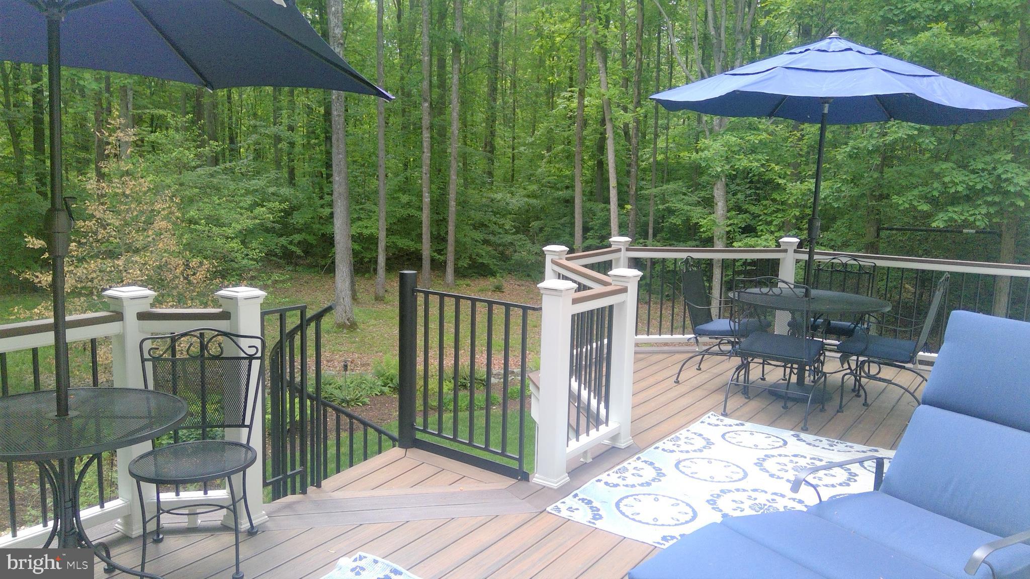 5 Ruffian Drive Stafford, VA 22556 - Photo 54 of 57 Maintenance free Deck overlooking backyard.