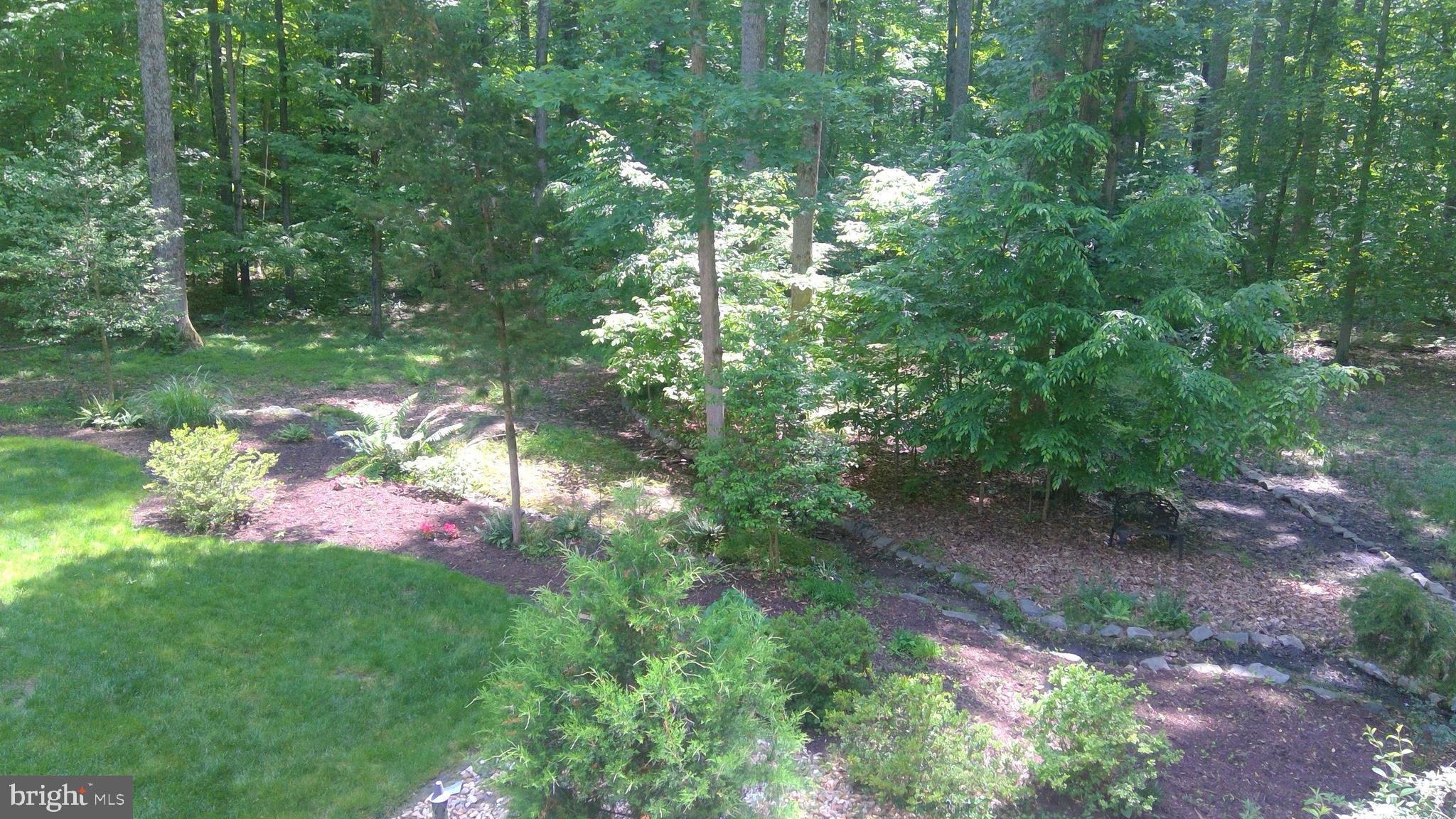 5 Ruffian Drive Stafford, VA 22556 - Photo 56 of 57 Tranquil back yard.