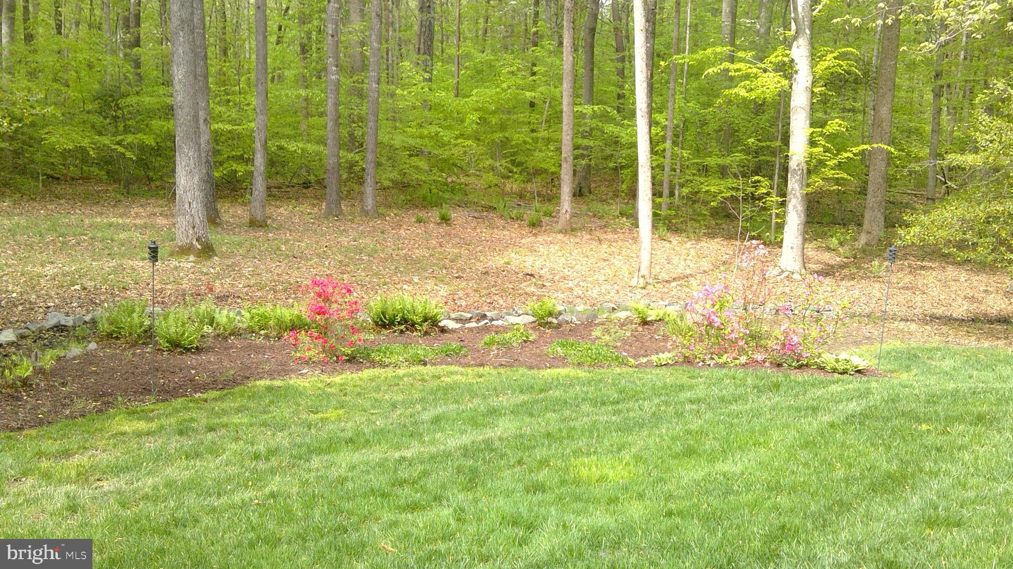 5 Ruffian Drive Stafford, VA 22556 - Photo 57 of 57 Serene back yard to relax.