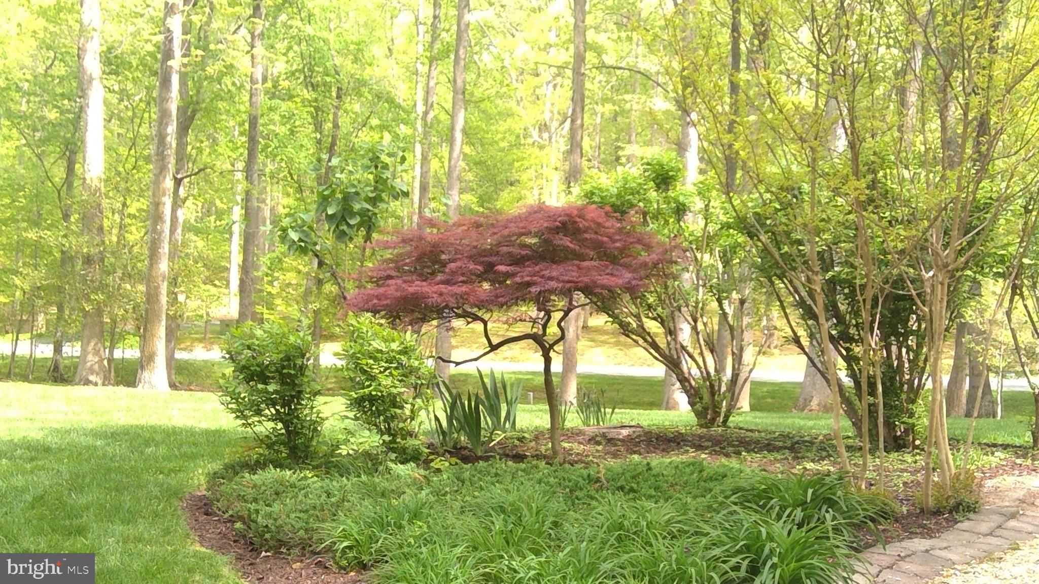 5 Ruffian Drive Stafford, VA 22556 - Photo 7 of 57 Gorgeous Landscaping All Around!
