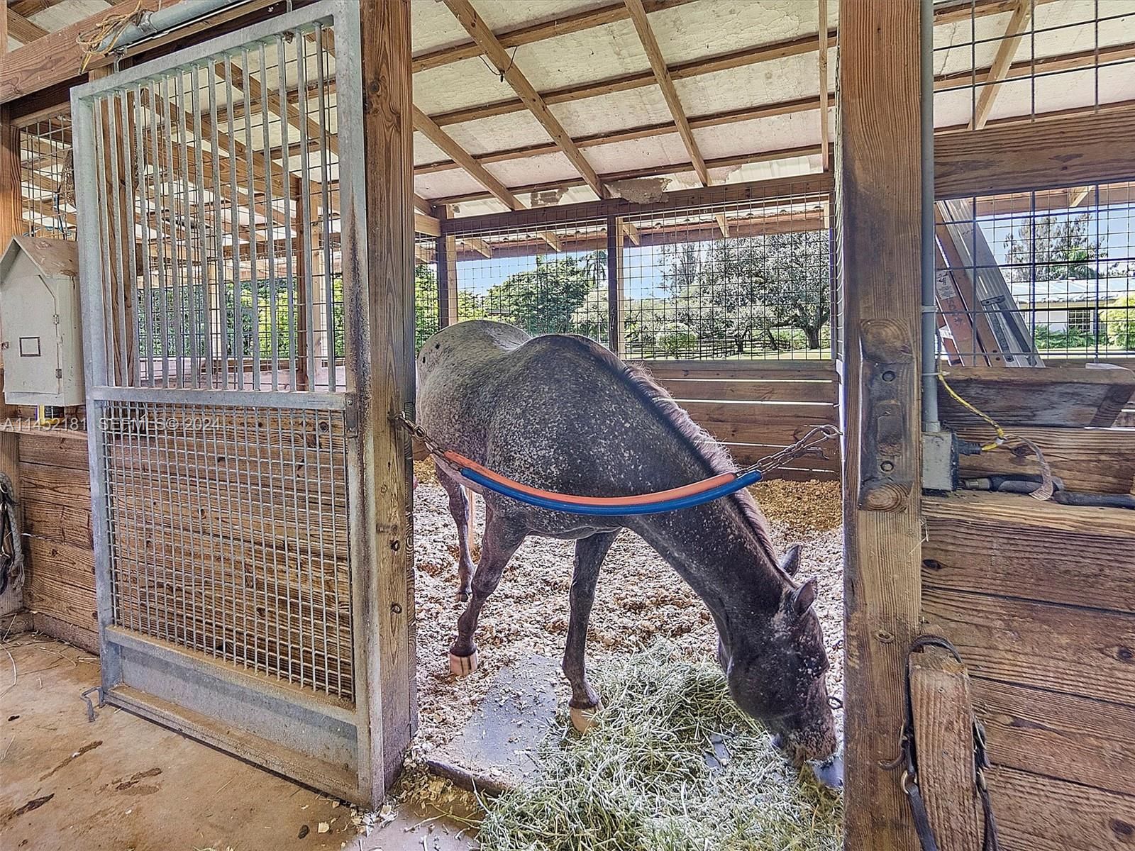 14490 Stirling Road Southwest Ranches, FL 33330 - Photo 25 of 52 Roomy stalls with secure entrances