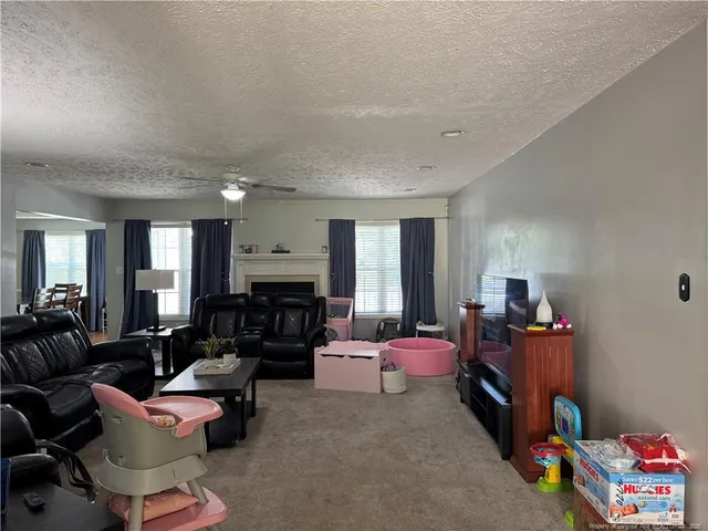 a living room with furniture window and a fireplace