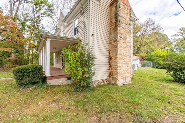 a view of a backyard with plants and large trees