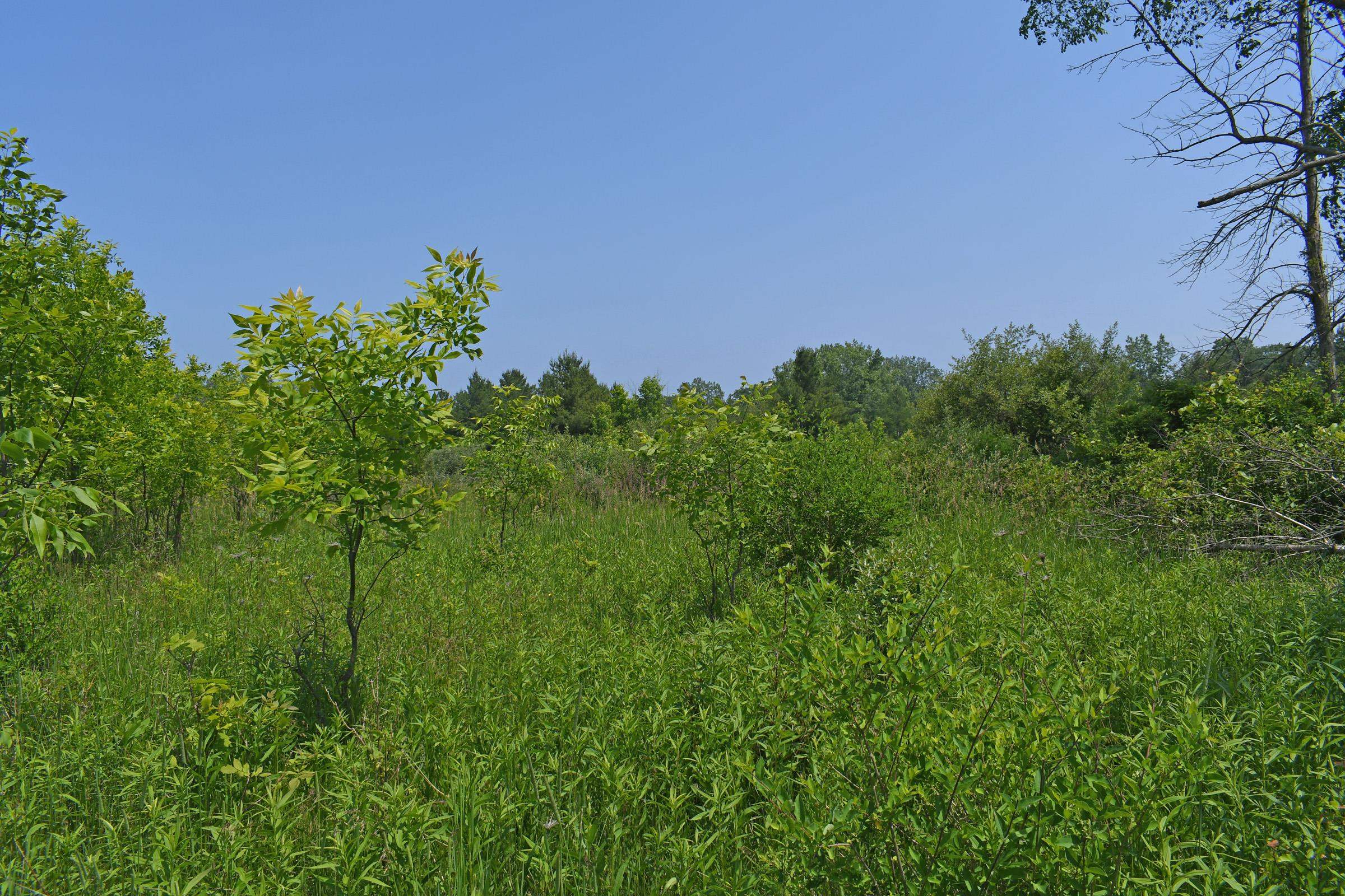 0 Keystone Road Tawas City, MI 48763 - Photo 12 of 15