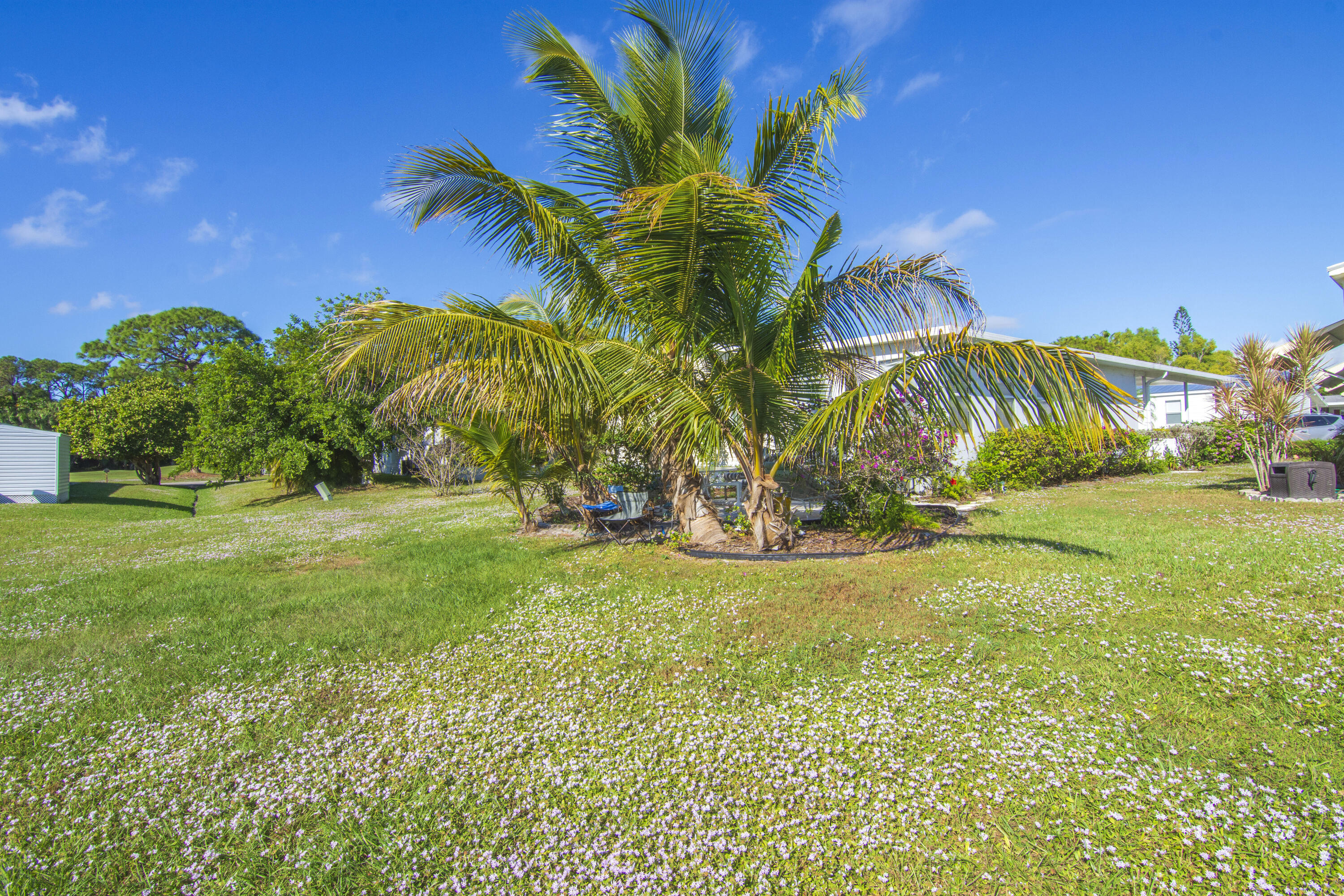 18 Nuevo Leon Road Port St. Lucie, FL 34952 - Photo 33 of 36 a view of a yard with a palm of palm trees