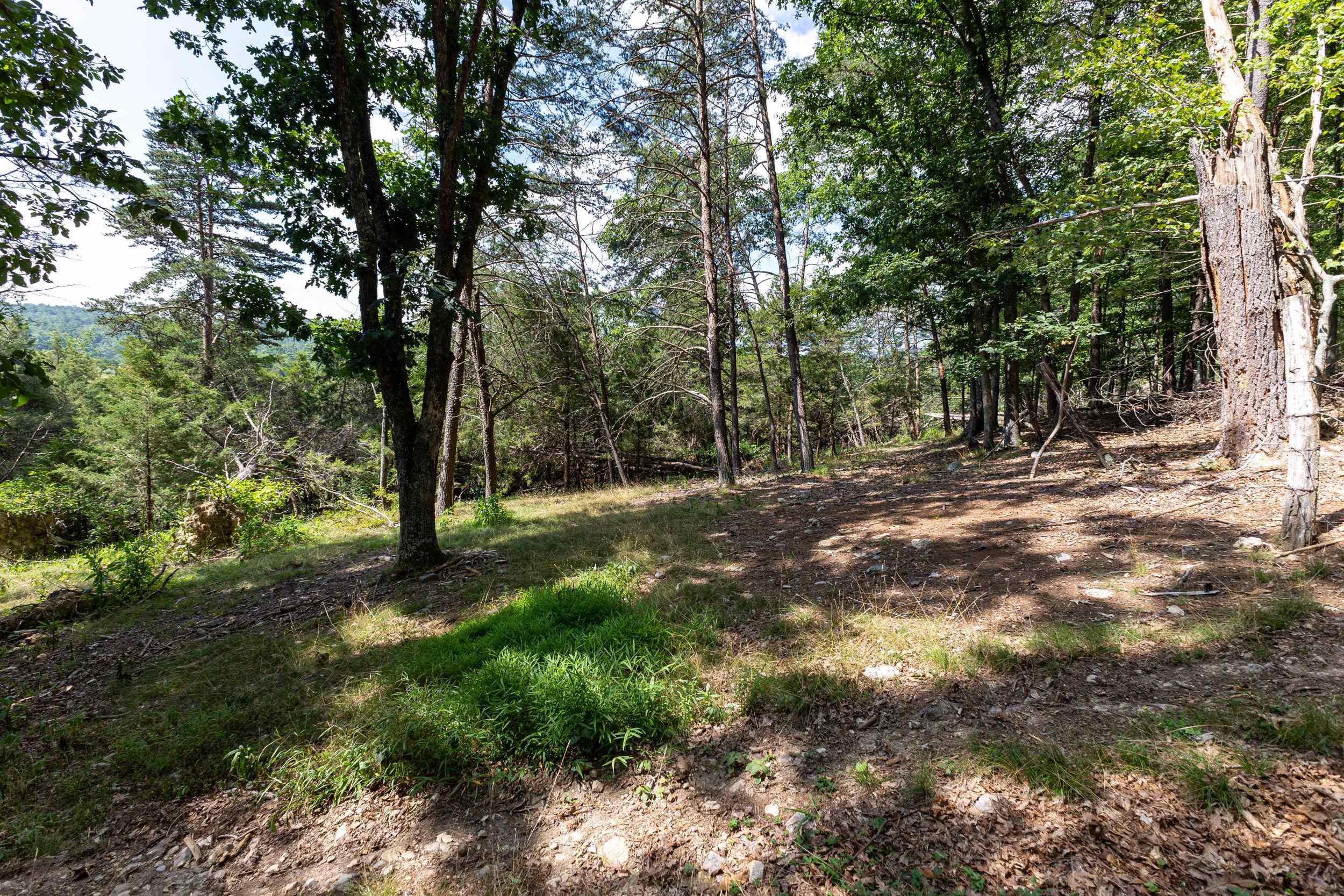 0 Alum Springs Road Basye, VA 22810 - Photo 22 of 25 Gallery Image 22