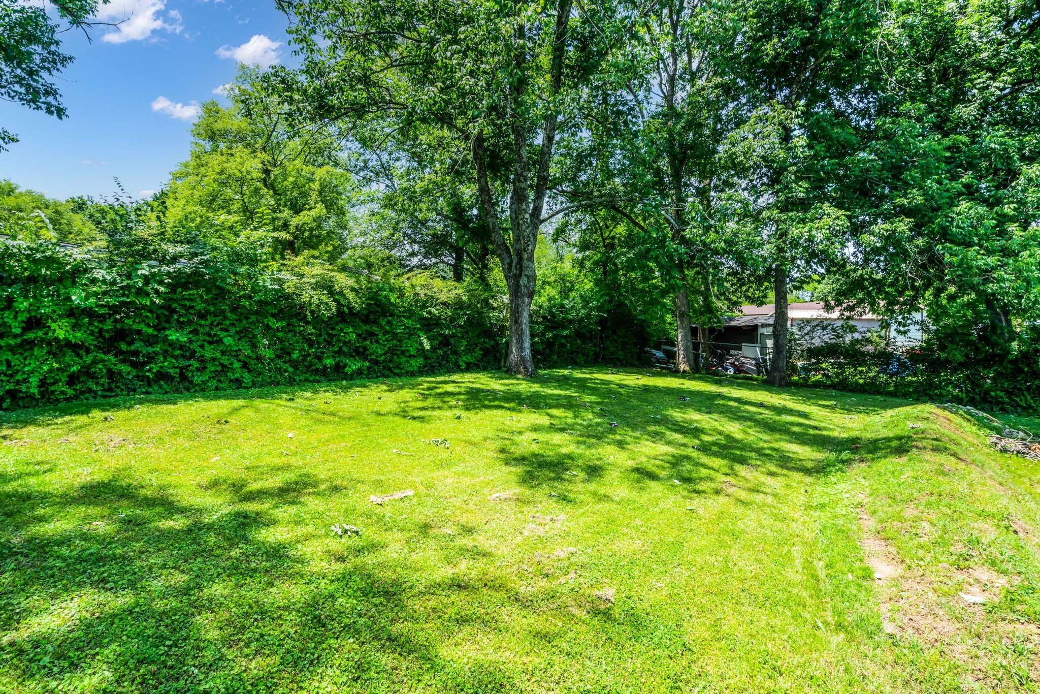 224 Warrior Road Madison, TN 37115 - Photo 25 of 27 a view of a backyard with a small cabin