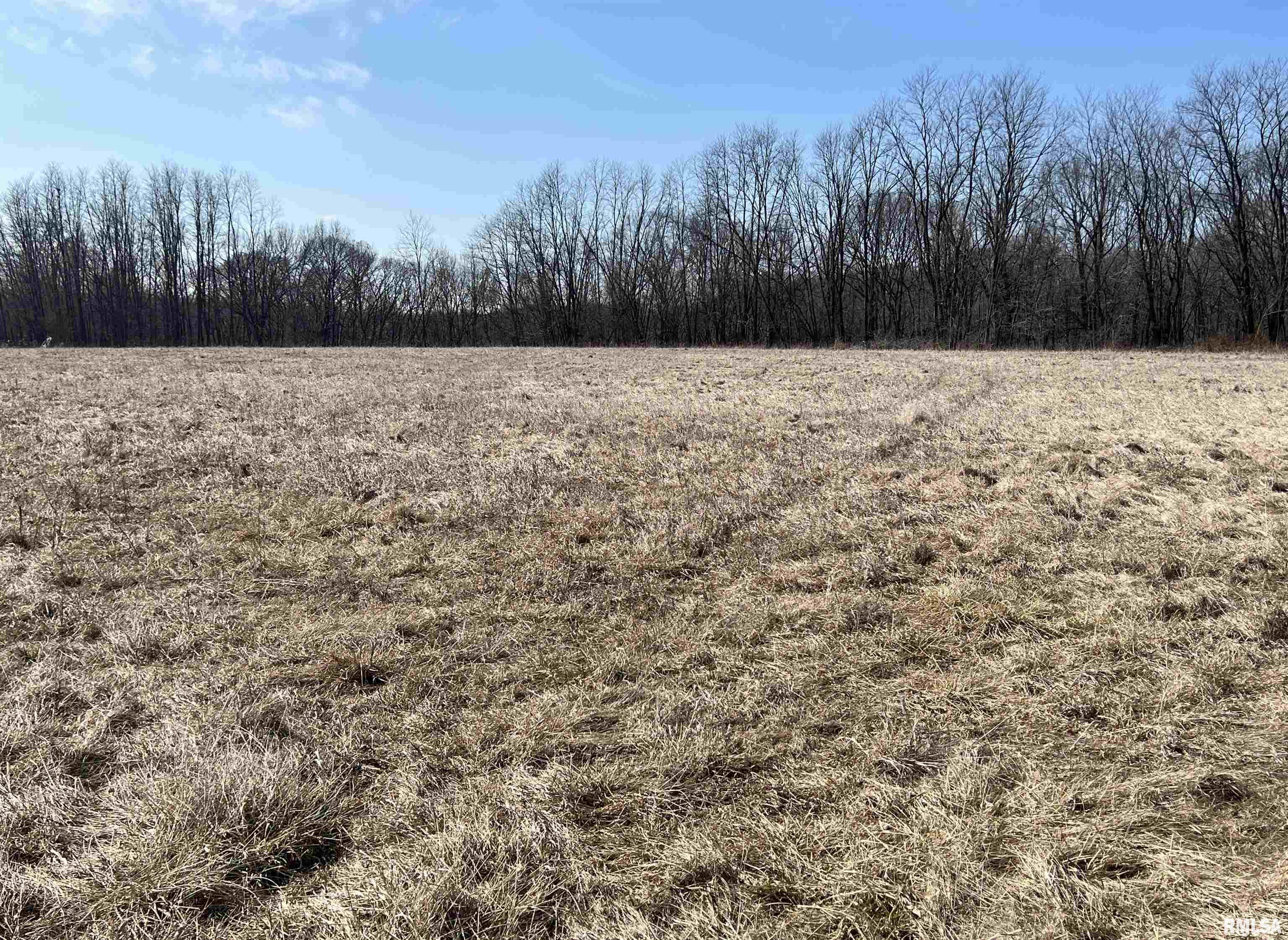 0 North Stambaugh Road Astoria, IL 61501 - Photo 3 of 4