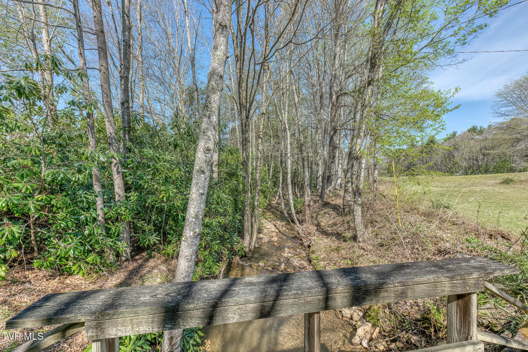 1650 Sluder Road Shady Valley, TN 37688 - Photo 52 of 76 1650 Sluder Rd-75