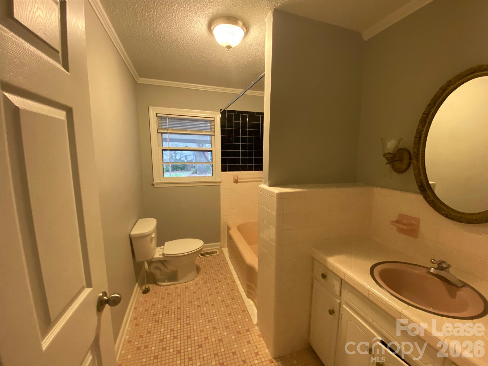 508 Dunham Road Gastonia, NC 28054 - Photo 11 of 16 a bathroom with a sink a toilet and a mirror