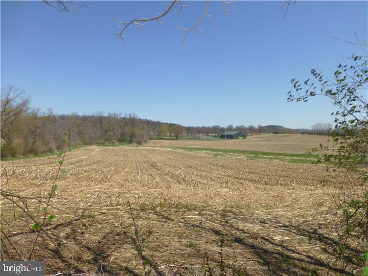 Lot 31 Riegel Road Sinking Spring, PA 19608 - Photo 3 of 3 View 2