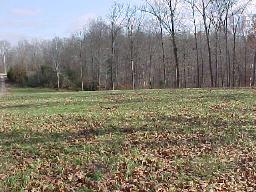 191 Winding Way Road Dover, TN 37058 - Photo 3 of 9 Looking for large improved acreage with natural wildlife, private lush surroundings, building site?