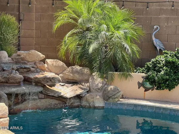 a view of a plant in a garden