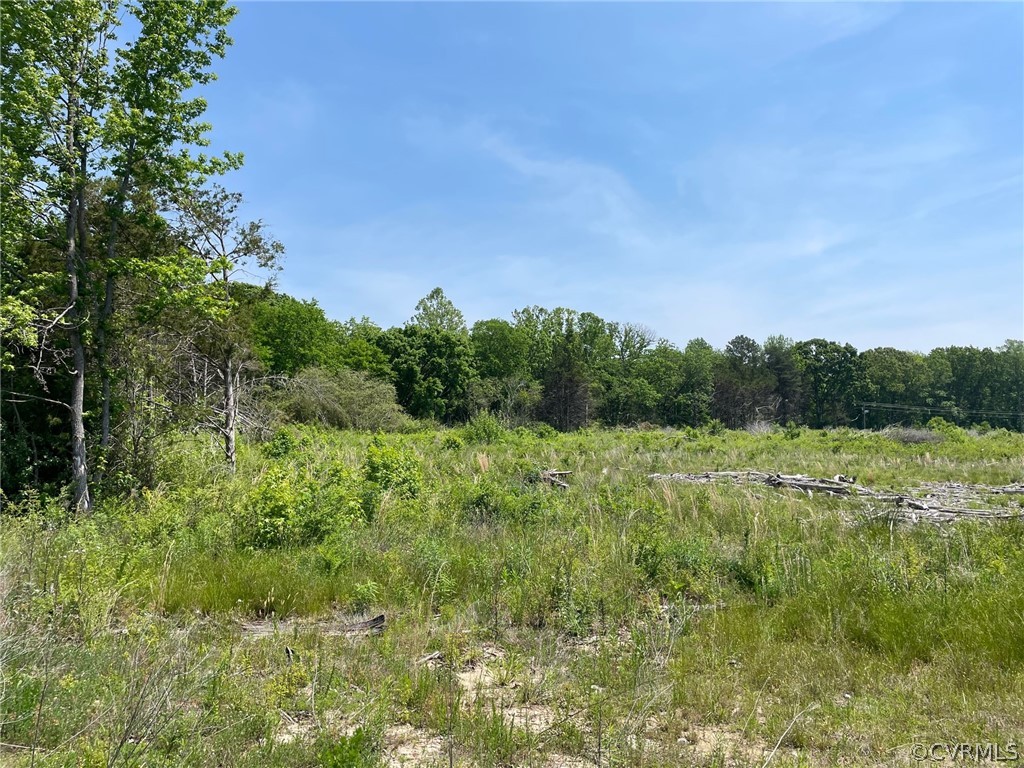 16595 Mountain Road Montpelier, VA 23192 - Photo 1 of 9 Gallery Image 1