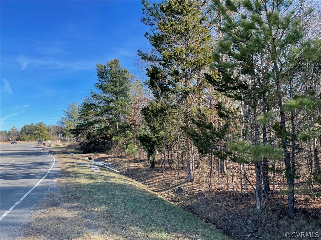 16595 Mountain Road Montpelier, VA 23192 - Photo 2 of 9 Gallery Image 2