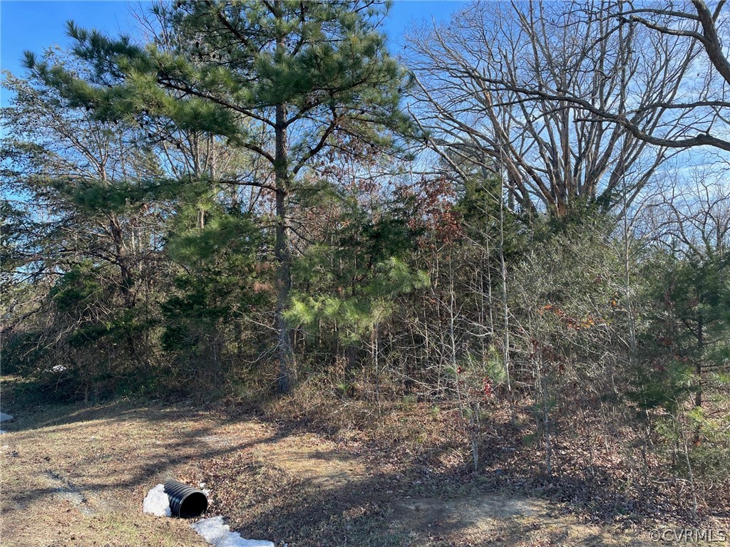 16595 Mountain Road Montpelier, VA 23192 - Photo 7 of 9 Gallery Image 7