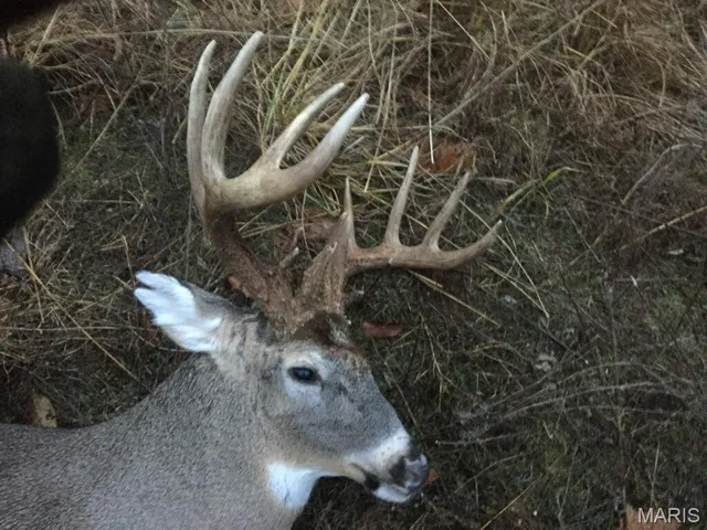 $399,900 | 0 South Denton Road, Pacific, MO 63069