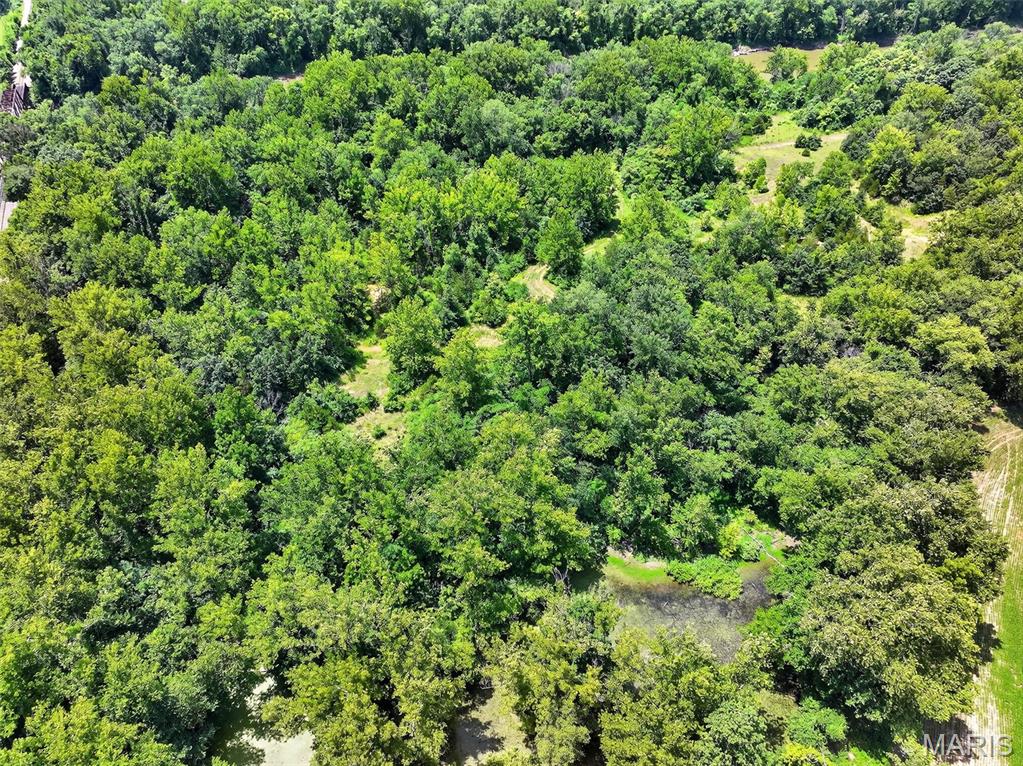 0 South Denton Road Pacific, MO 63069 - Photo 12 of 25