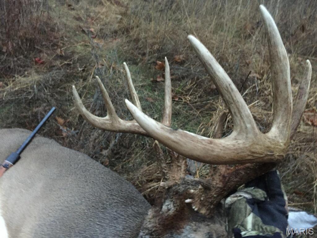 0 South Denton Road Pacific, MO 63069 - Photo 2 of 25