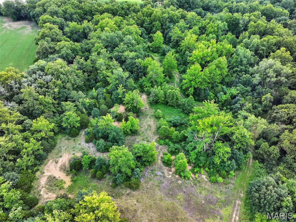 0 South Denton Road Pacific, MO 63069 - Photo 21 of 25