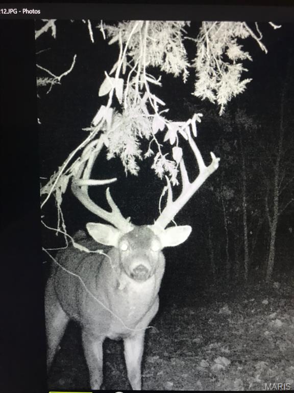 0 South Denton Road Pacific, MO 63069 - Photo 4 of 25