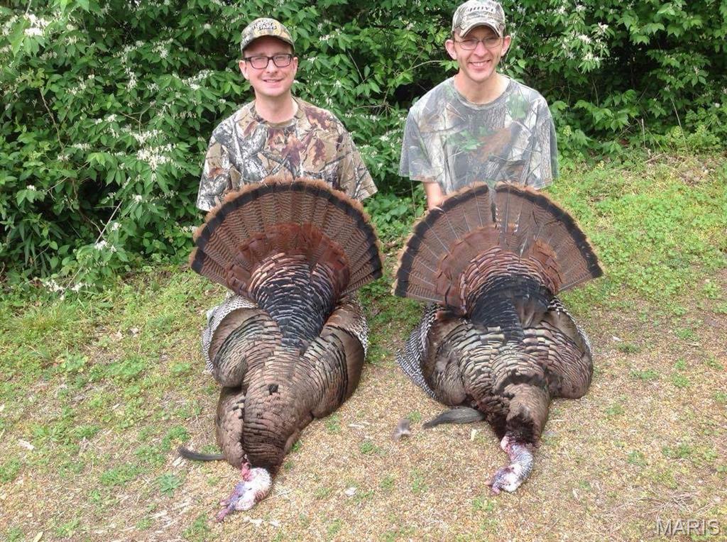 0 South Denton Road Pacific, MO 63069 - Photo 6 of 25