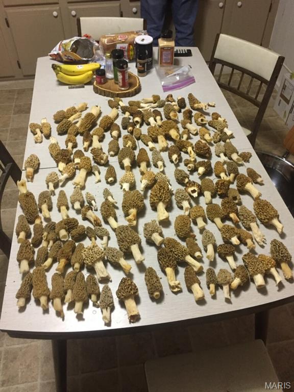 0 South Denton Road Pacific, MO 63069 - Photo 7 of 25