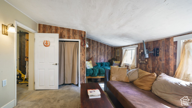 180 North State Street Sigurd, UT 84657 - Photo 26 of 32 Carpeted living area with wooden walls and lofted ceiling
