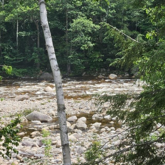57 West Branch Road, Unit 14 Lincoln, NH 03251 - Photo 8 of 19