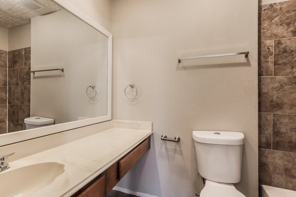2438 Autumn Springs Lane Spring, TX 77373 - Photo 11 of 16 a bathroom with a sink a toilet a mirror and shower