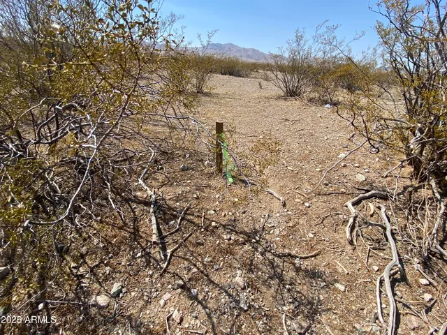 a view of outdoor space and mountain view