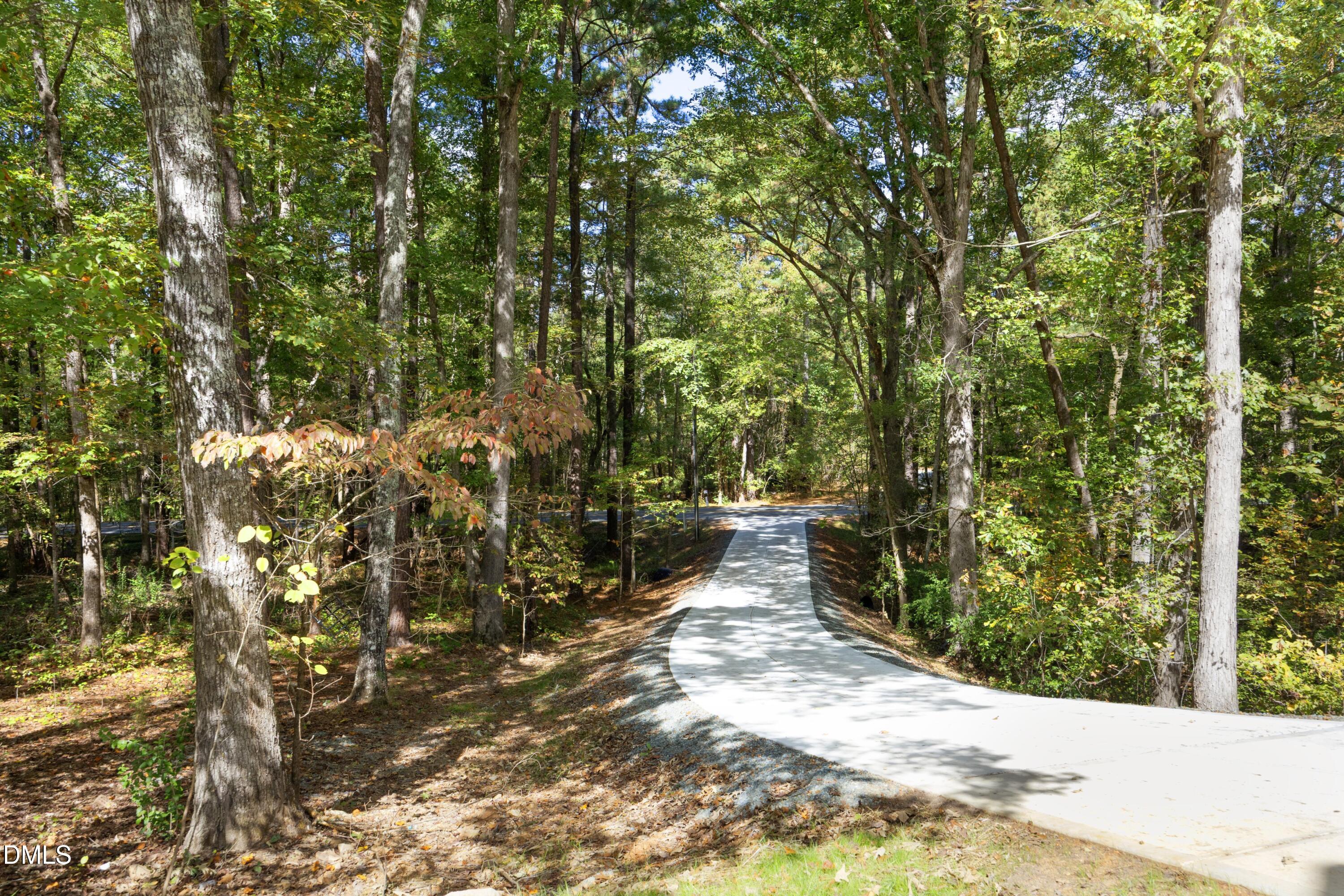 2817 Silk Hope Gum Springs Road Pittsboro, NC 27312 - Photo 48 of 56 a view of a pathway with a tree