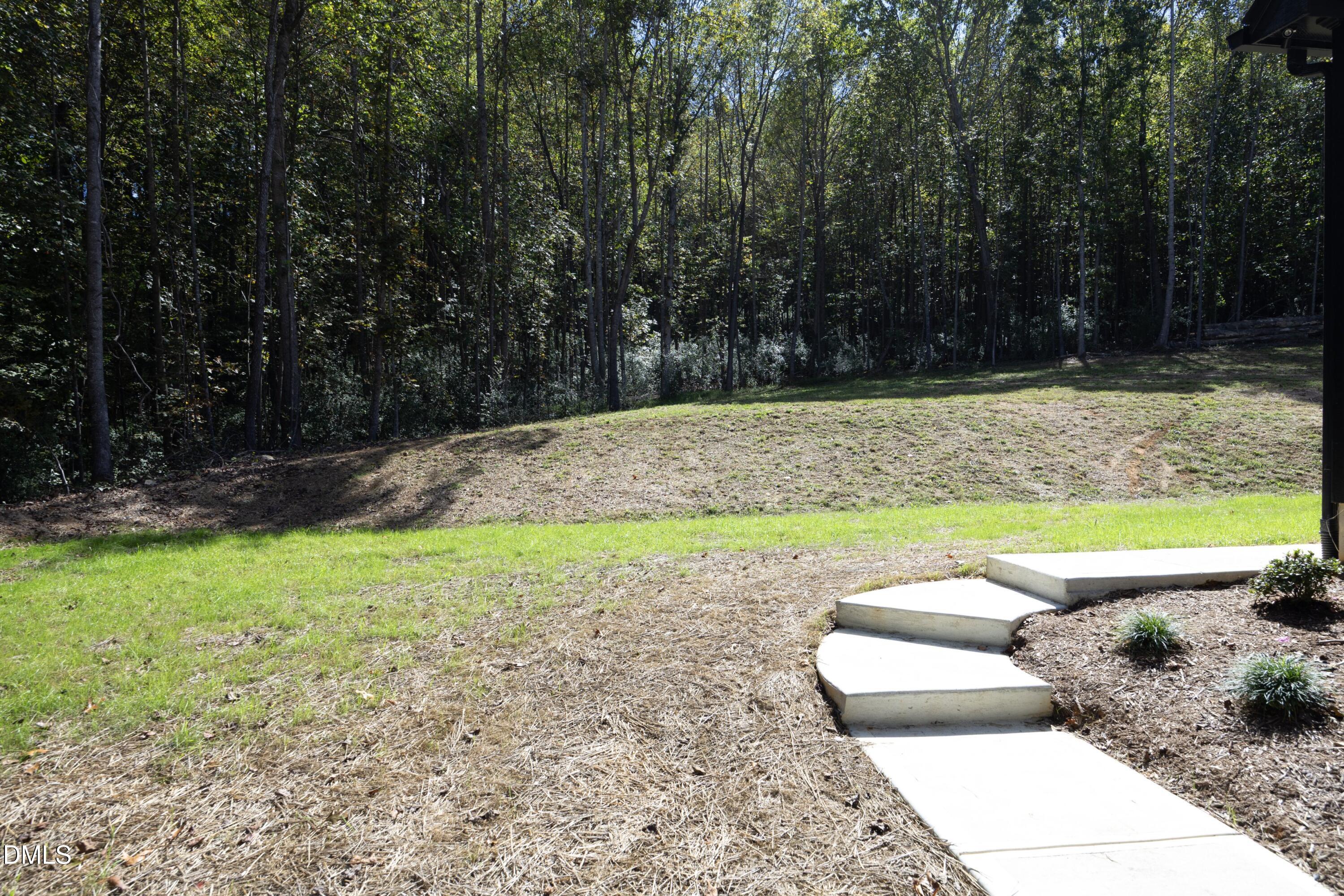 2817 Silk Hope Gum Springs Road Pittsboro, NC 27312 - Photo 49 of 56 a view of a yard with large trees