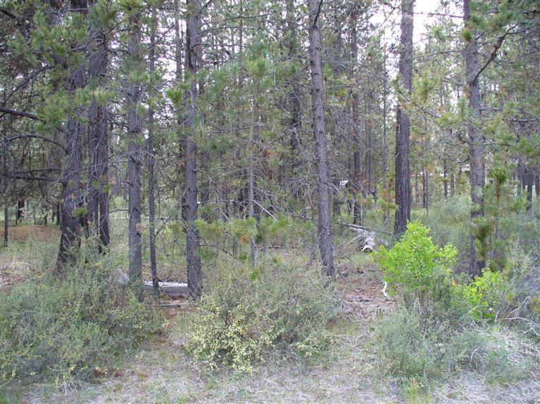 56201 Marsh Hawk Road Bend, OR 97707 - Photo 1 of 2 Primary Photo