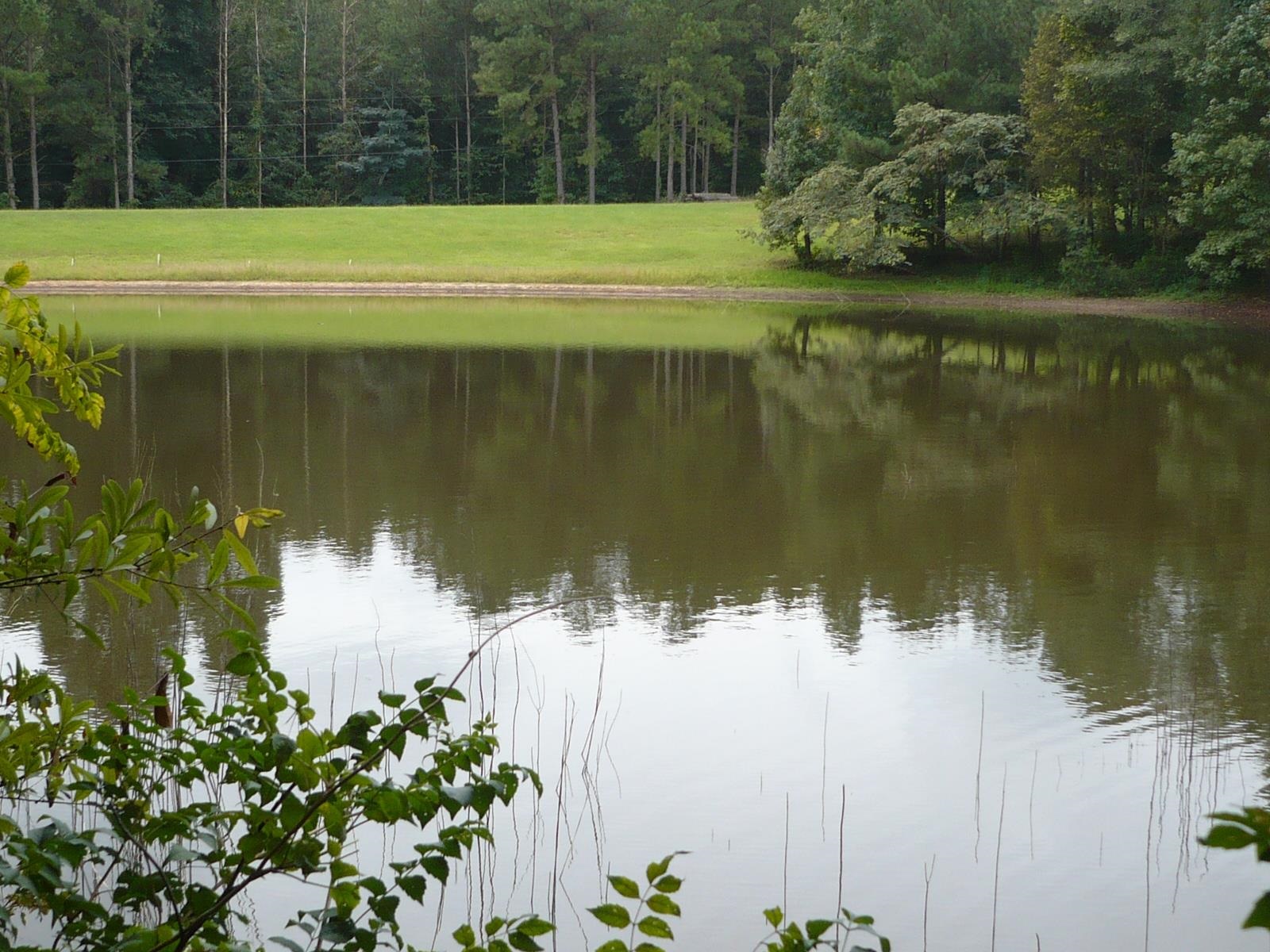 3.12-acres Cool Springs Road Fort Valley, GA 31030 - Photo 10 of 13