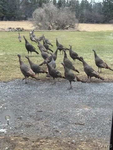 $995,000 | 23652 Ackerman Road, Unit 656, Brownville, NY 13634