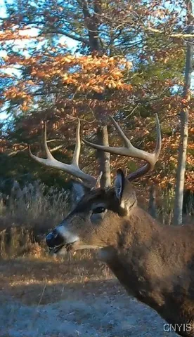 $995,000 | 23652 Ackerman Road, Unit 656, Brownville, NY 13634