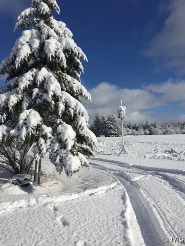 $995,000 | 23652 Ackerman Road, Unit 656, Brownville, NY 13634