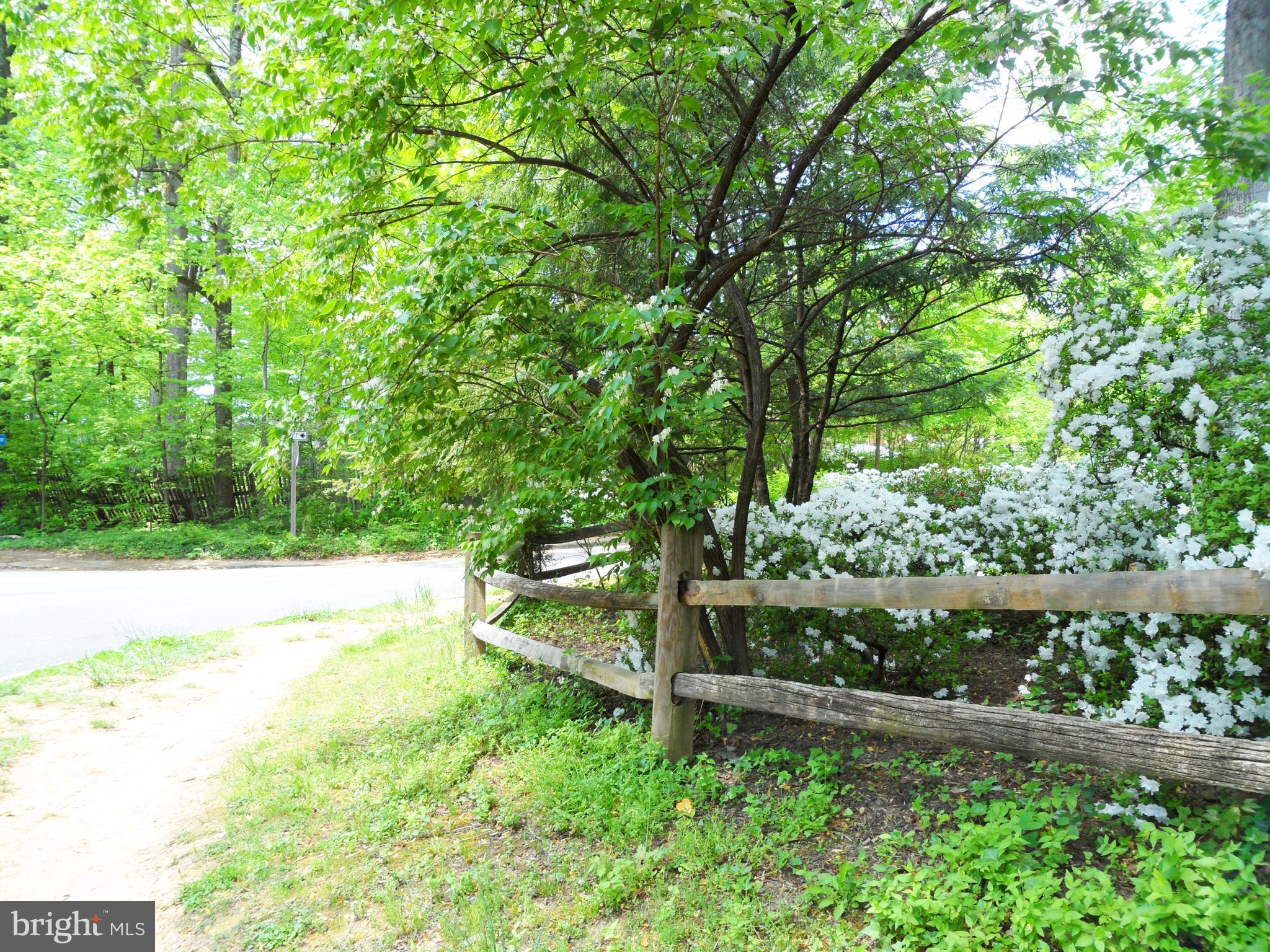 6733 Baron Road McLean, VA 22101 - Photo 3 of 29 Lovely walking areas within the community