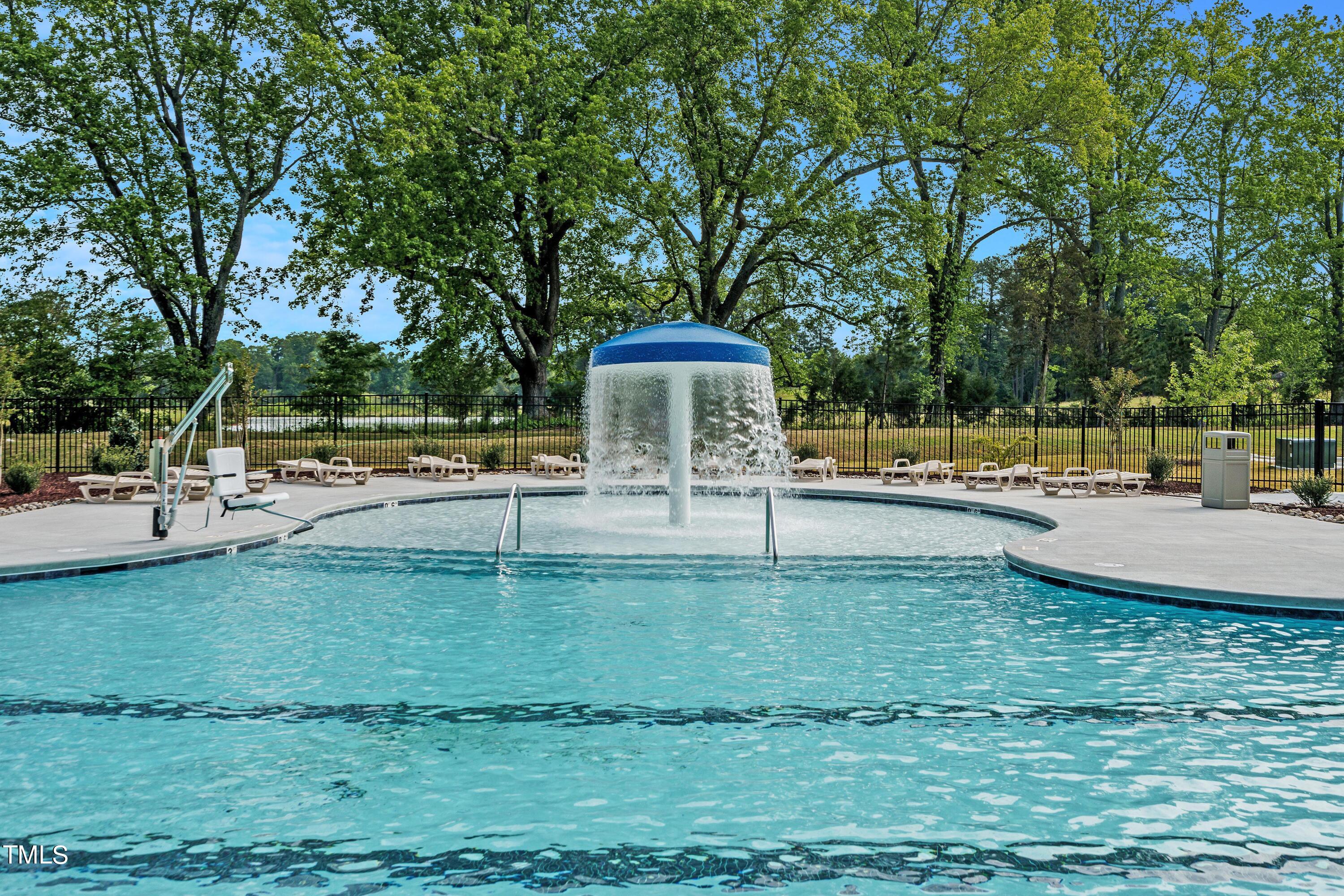904 Rift Vly Drive Zebulon, NC 27597 - Photo 42 of 43 a garden view with a fountain